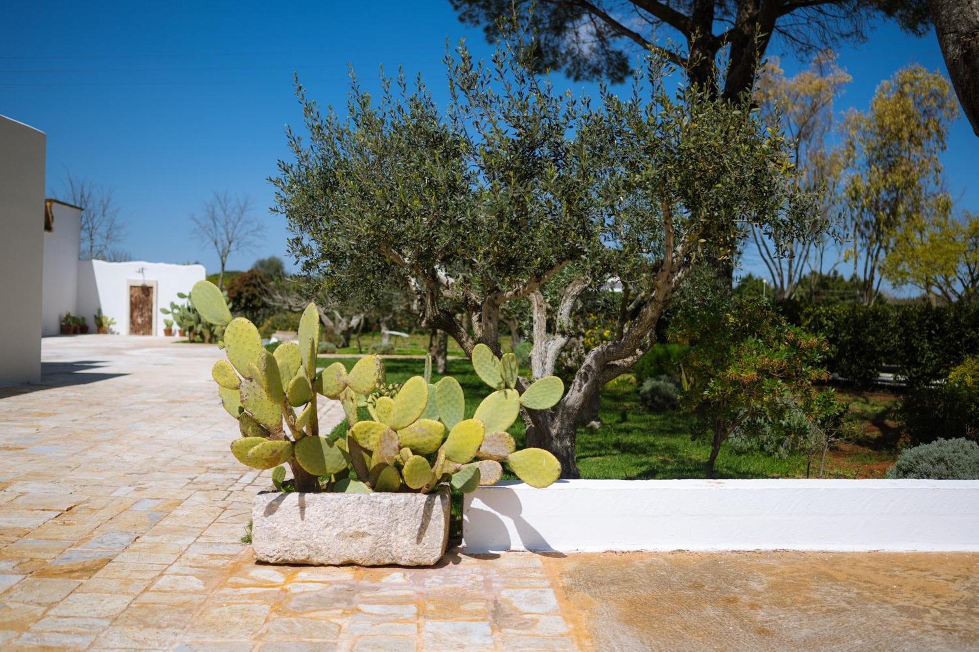 Masseria San Michele Martina Franca Exterior foto